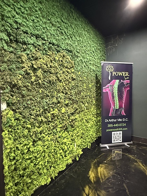 Clinic treatment area with a living moss wall